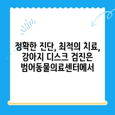 대구 24시 범어동물의료센터| 강아지 디스크 검진, 안전하고 전문적인 진료 | 반려견, 디스크 질환, 척추 건강, 24시 동물병원