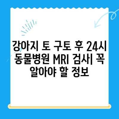 강아지 토 구토 후 24시 동물병원 MRI 검사| 꼭 알아야 할 정보 | 응급 상황, 검사 비용, 치료 과정