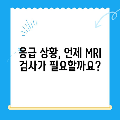 강아지 토 구토 후 24시 동물병원 MRI 검사| 꼭 알아야 할 정보 | 응급 상황, 검사 비용, 치료 과정