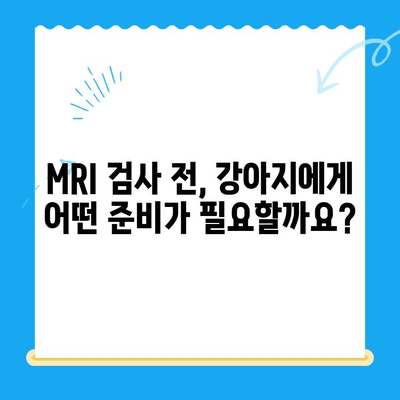 강아지 토 구토 후 24시 동물병원 MRI 검사| 꼭 알아야 할 정보 | 응급 상황, 검사 비용, 치료 과정