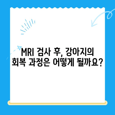 강아지 토 구토 후 24시 동물병원 MRI 검사| 꼭 알아야 할 정보 | 응급 상황, 검사 비용, 치료 과정