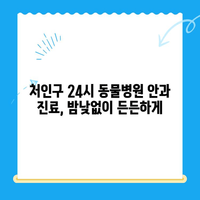 처인구 24시 동물병원 강아지 안과 검진, 대기 시간은 얼마나 걸릴까요? | 처인구, 24시 동물병원, 강아지 안과, 대기 시간, 안과 검진