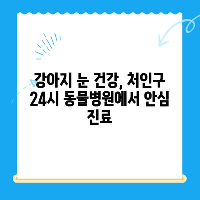 처인구 24시 동물병원 강아지 안과 검진, 대기 시간은 얼마나 걸릴까요? | 처인구, 24시 동물병원, 강아지 안과, 대기 시간, 안과 검진
