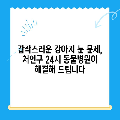 처인구 24시 동물병원 강아지 안과 검진, 대기 시간은 얼마나 걸릴까요? | 처인구, 24시 동물병원, 강아지 안과, 대기 시간, 안과 검진