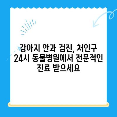 처인구 24시 동물병원 강아지 안과 검진, 대기 시간은 얼마나 걸릴까요? | 처인구, 24시 동물병원, 강아지 안과, 대기 시간, 안과 검진