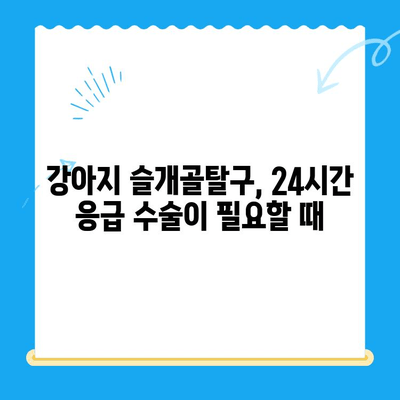 강아지 슬개골탈구 24시 수술| 동물병원 찾는 방법 | 슬개골탈구, 응급수술, 24시 동물병원, 수술 전문 동물병원