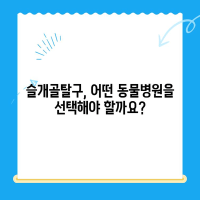 강아지 슬개골탈구 24시 수술| 동물병원 찾는 방법 | 슬개골탈구, 응급수술, 24시 동물병원, 수술 전문 동물병원