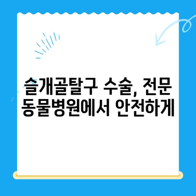 강아지 슬개골탈구 24시 수술| 동물병원 찾는 방법 | 슬개골탈구, 응급수술, 24시 동물병원, 수술 전문 동물병원