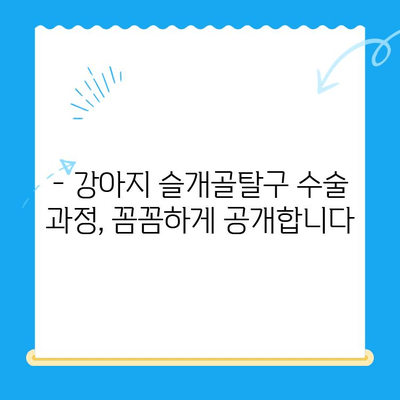 24시간 수동물병원, 강아지 슬개골탈구 수술 케이스| 성공적인 치료 과정 공개 | 슬개골탈구, 수술 후기, 동물병원 추천