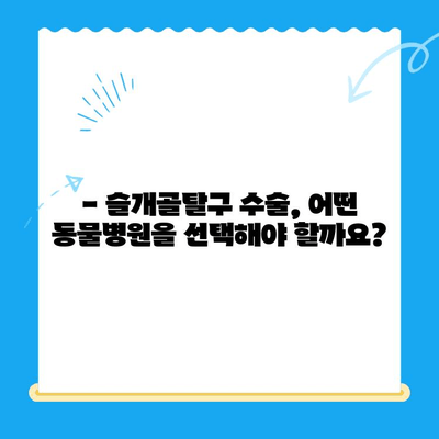 24시간 수동물병원, 강아지 슬개골탈구 수술 케이스| 성공적인 치료 과정 공개 | 슬개골탈구, 수술 후기, 동물병원 추천