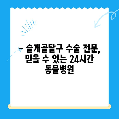 24시간 수동물병원, 강아지 슬개골탈구 수술 케이스| 성공적인 치료 과정 공개 | 슬개골탈구, 수술 후기, 동물병원 추천
