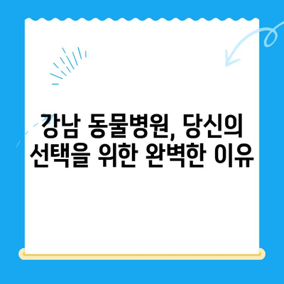 강남 동물병원 의료진 & 시설 완벽 소개 | 반려동물 건강, 최고의 선택