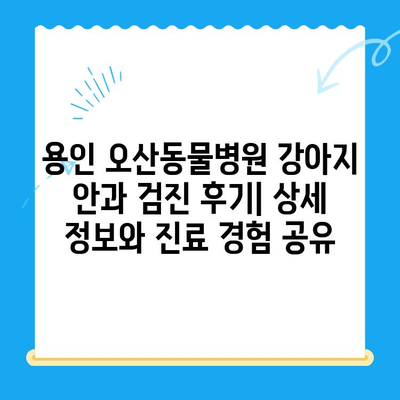 용인 오산동물병원 강아지 안과 검진 후기| 상세 정보와 진료 경험 공유 | 용인, 오산, 동물병원, 강아지, 안과, 검진, 후기, 진료