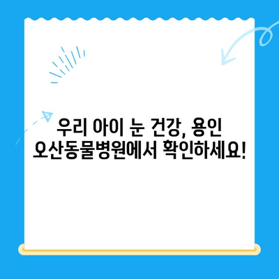 용인 오산동물병원 강아지 안과 검진 후기| 상세 정보와 진료 경험 공유 | 용인, 오산, 동물병원, 강아지, 안과, 검진, 후기, 진료