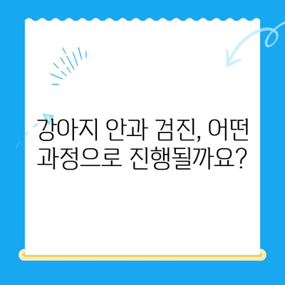 용인 오산동물병원 강아지 안과 검진 후기| 상세 정보와 진료 경험 공유 | 용인, 오산, 동물병원, 강아지, 안과, 검진, 후기, 진료