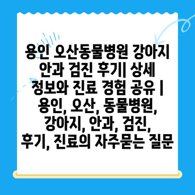 용인 오산동물병원 강아지 안과 검진 후기| 상세 정보와 진료 경험 공유 | 용인, 오산, 동물병원, 강아지, 안과, 검진, 후기, 진료