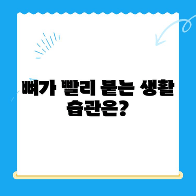 24시간 응급센터| 부러진 뼈, 어떻게 치료받을까요? | 응급실, 골절, 치료 과정, 주의 사항