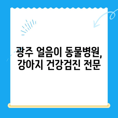 광주 얼음이 동물병원에서 강아지 건강검진 받기| 꼼꼼하게 체크해야 할 5가지 | 강아지 건강, 건강검진, 광주 동물병원, 예방 접종, 건강 관리