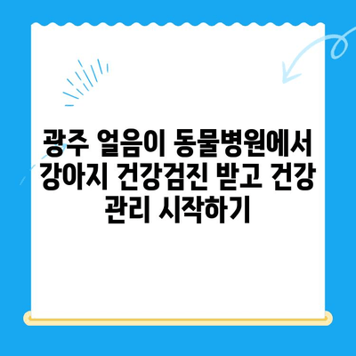 광주 얼음이 동물병원에서 강아지 건강검진 받기| 꼼꼼하게 체크해야 할 5가지 | 강아지 건강, 건강검진, 광주 동물병원, 예방 접종, 건강 관리