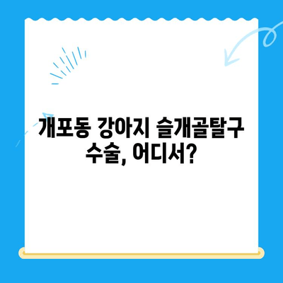 개포동 강아지 슬개골탈구 수술 24시 동물병원|  추천 & 정보 | 슬개골탈구, 수술, 24시 동물병원, 개포동