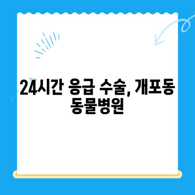 개포동 강아지 슬개골탈구 수술 24시 동물병원|  추천 & 정보 | 슬개골탈구, 수술, 24시 동물병원, 개포동