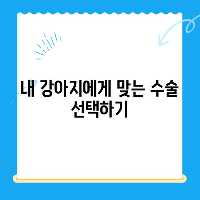 개포동 강아지 슬개골탈구 수술 24시 동물병원|  추천 & 정보 | 슬개골탈구, 수술, 24시 동물병원, 개포동