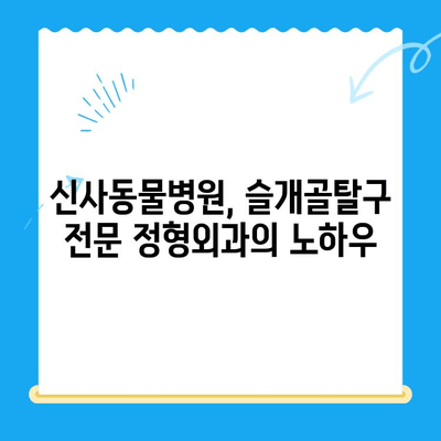 신사동물병원 슬개골탈구 전문 정형외과| 반려동물의 건강을 위한 최선의 선택 | 슬개골탈구, 정형외과 전문, 신사동, 동물병원, 수술, 재활