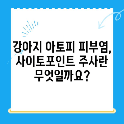 강아지 아토피 피부염, 사이토포인트 주사로 개선 가능할까요? | 24시 동물병원, 치료법, 효과, 부작용