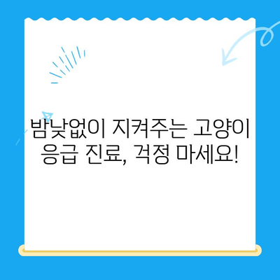 24시간 응급 진료 가능! 고양이 건강 체크를 위한 동물병원 추천 | 응급, 야간 진료, 고양이 전문