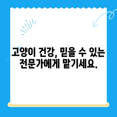 24시간 응급 진료 가능! 고양이 건강 체크를 위한 동물병원 추천 | 응급, 야간 진료, 고양이 전문