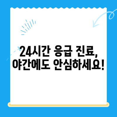 24시간 응급 진료 가능! 고양이 건강 체크를 위한 동물병원 추천 | 응급, 야간 진료, 고양이 전문