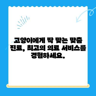 24시간 응급 진료 가능! 고양이 건강 체크를 위한 동물병원 추천 | 응급, 야간 진료, 고양이 전문