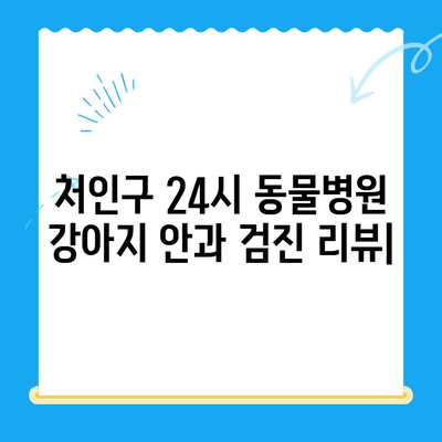 처인구 24시 동물병원 강아지 안과 검진 리뷰| 실제 이용 후기 및 경험 공유 | 강아지 안과, 동물병원 추천, 처인구