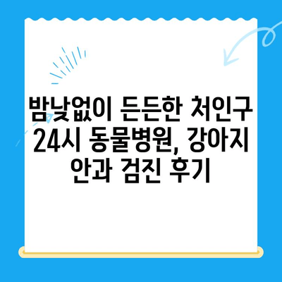 처인구 24시 동물병원 강아지 안과 검진 리뷰| 실제 이용 후기 및 경험 공유 | 강아지 안과, 동물병원 추천, 처인구