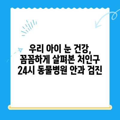 처인구 24시 동물병원 강아지 안과 검진 리뷰| 실제 이용 후기 및 경험 공유 | 강아지 안과, 동물병원 추천, 처인구