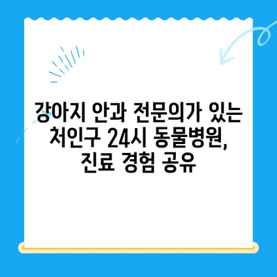 처인구 24시 동물병원 강아지 안과 검진 리뷰| 실제 이용 후기 및 경험 공유 | 강아지 안과, 동물병원 추천, 처인구