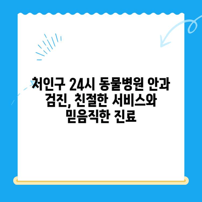 처인구 24시 동물병원 강아지 안과 검진 리뷰| 실제 이용 후기 및 경험 공유 | 강아지 안과, 동물병원 추천, 처인구