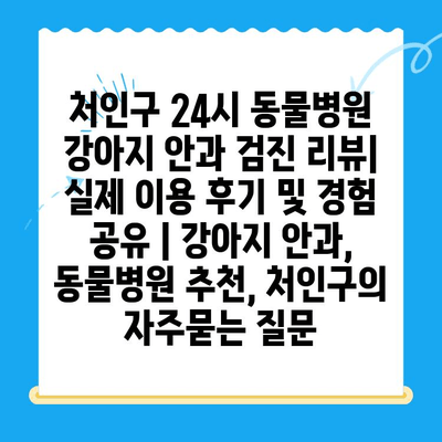 처인구 24시 동물병원 강아지 안과 검진 리뷰| 실제 이용 후기 및 경험 공유 | 강아지 안과, 동물병원 추천, 처인구