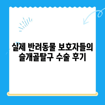 슬개골탈구 전문 스마트 정형외과| 신사 동물병원 | 반려동물 슬개골탈구 치료, 수술, 재활, 후기