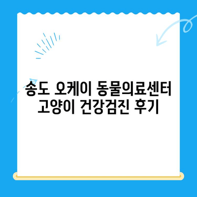 송도 24시 동물병원 오케이 동물의료센터 고양이 건강검진 후기| 꼼꼼한 검진과 친절한 서비스 | 송도 동물병원, 고양이 건강검진, 오케이 동물의료센터