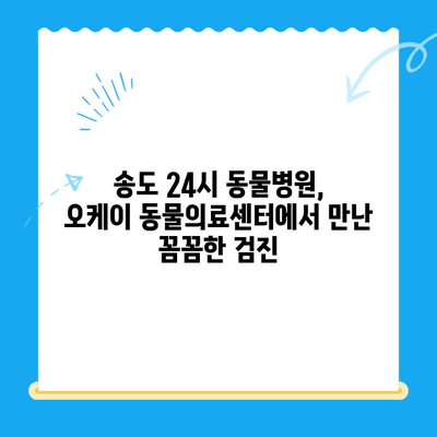 송도 24시 동물병원 오케이 동물의료센터 고양이 건강검진 후기| 꼼꼼한 검진과 친절한 서비스 | 송도 동물병원, 고양이 건강검진, 오케이 동물의료센터