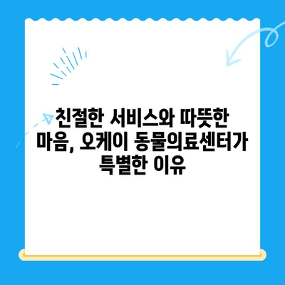 송도 24시 동물병원 오케이 동물의료센터 고양이 건강검진 후기| 꼼꼼한 검진과 친절한 서비스 | 송도 동물병원, 고양이 건강검진, 오케이 동물의료센터