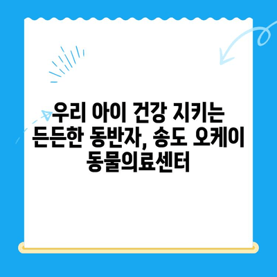 송도 24시 동물병원 오케이 동물의료센터 고양이 건강검진 후기| 꼼꼼한 검진과 친절한 서비스 | 송도 동물병원, 고양이 건강검진, 오케이 동물의료센터