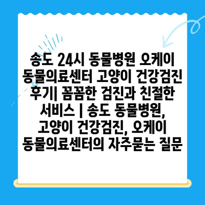 송도 24시 동물병원 오케이 동물의료센터 고양이 건강검진 후기| 꼼꼼한 검진과 친절한 서비스 | 송도 동물병원, 고양이 건강검진, 오케이 동물의료센터