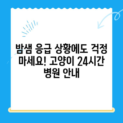 밤샘 응급 상황에도 안심! 고양이 24시간 병원 찾기 | 고양이 응급, 야간 진료, 동물병원