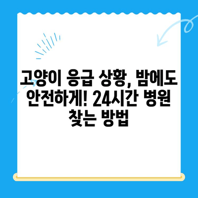 밤샘 응급 상황에도 안심! 고양이 24시간 병원 찾기 | 고양이 응급, 야간 진료, 동물병원
