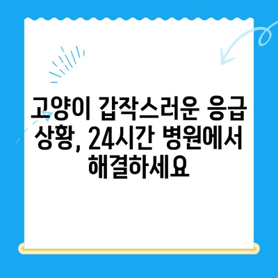 밤샘 응급 상황에도 안심! 고양이 24시간 병원 찾기 | 고양이 응급, 야간 진료, 동물병원
