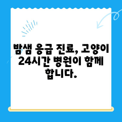 밤샘 응급 상황에도 안심! 고양이 24시간 병원 찾기 | 고양이 응급, 야간 진료, 동물병원