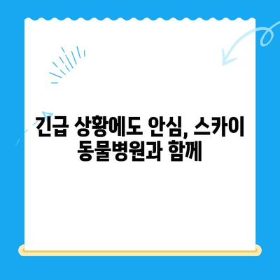 인천 24시간 동물병원 스카이 수술 후기|  반려동물과 함께한 감동 이야기 | 스카이 수술, 인천 동물병원, 24시간 진료, 후기