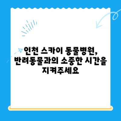 인천 24시간 동물병원 스카이 수술 후기|  반려동물과 함께한 감동 이야기 | 스카이 수술, 인천 동물병원, 24시간 진료, 후기